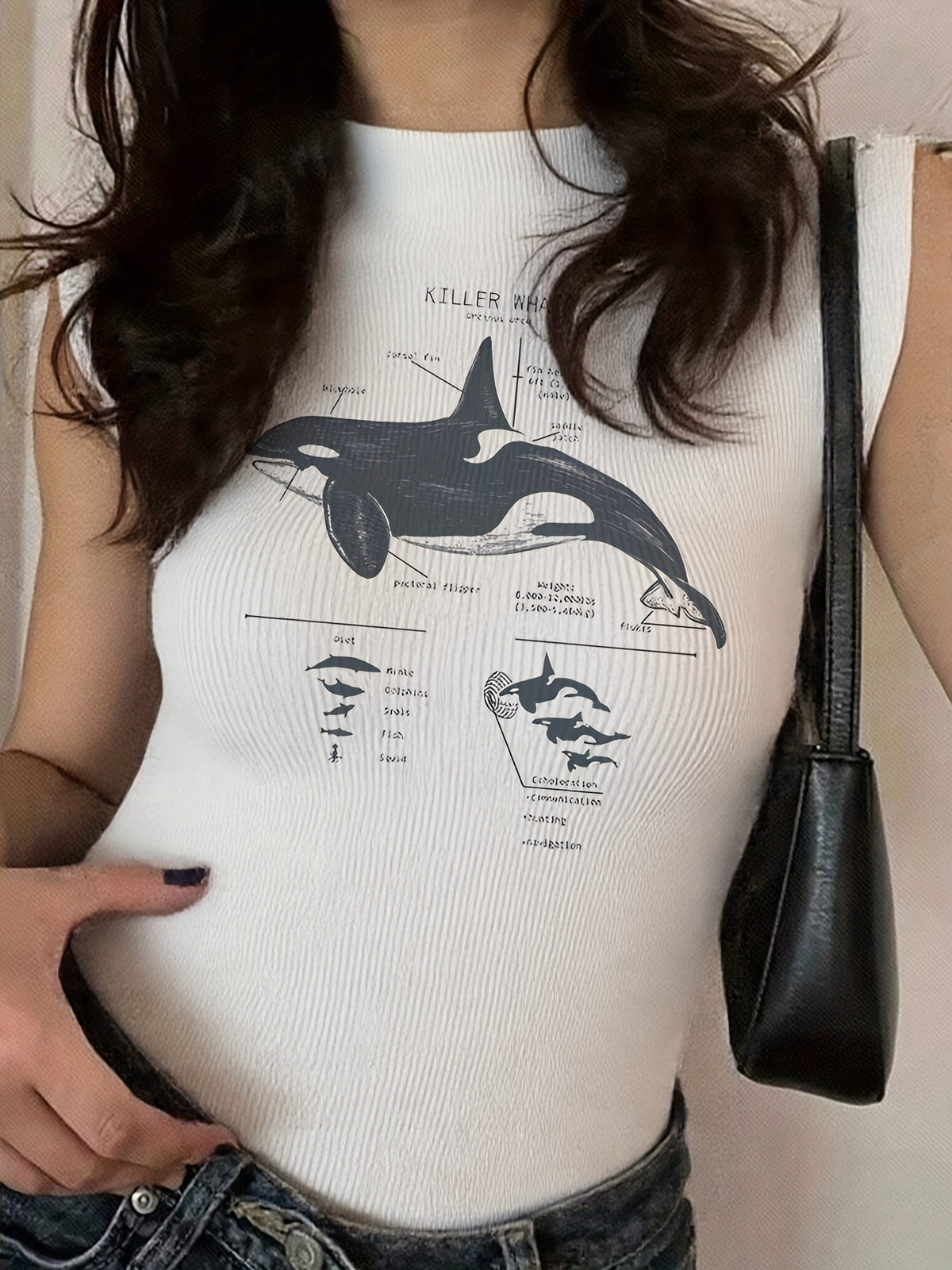 Whale Wishes Tank